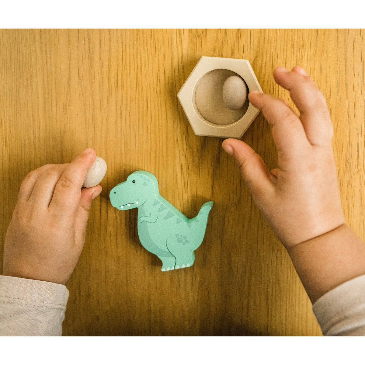 NEW Dinosaur Play Set